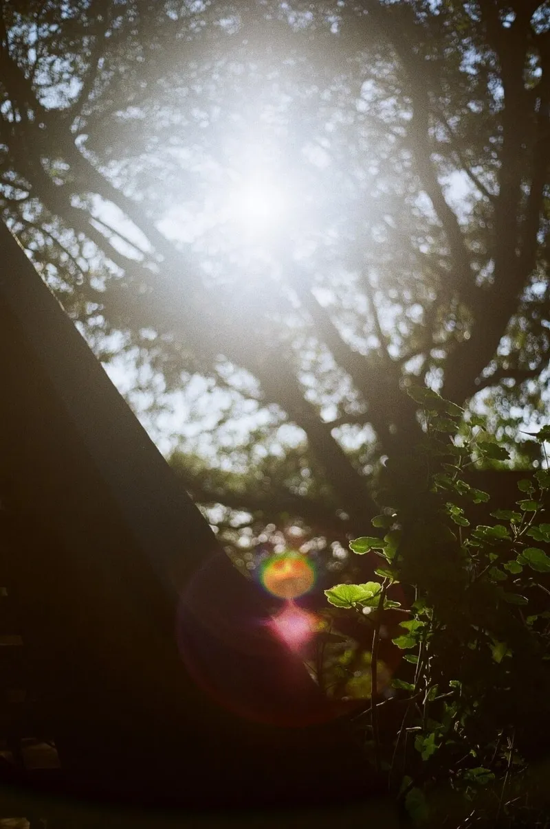 Photograph by Aravindh Ramesh, 2